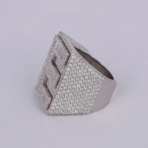 Frost Frame Signet 925 silver Ring